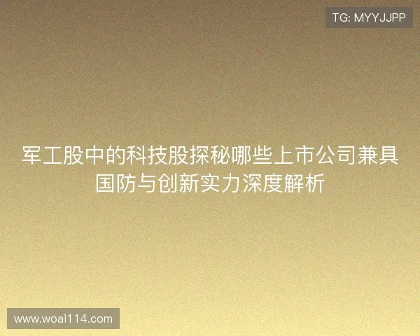 军工股中的科技股探秘哪些上市公司兼具国防与创新实力深度解析